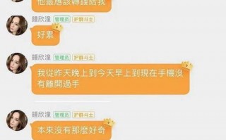 娱乐类吃瓜小说,瓜田里的明星秘闻