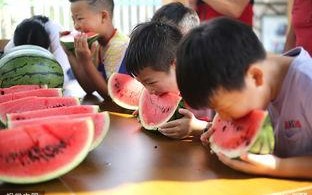 趣味吃瓜大比拼,一场舌尖上的狂欢盛宴