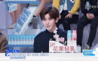 杨西的娱乐吃瓜大会,揭秘娱乐圈幕后故事与热点事件