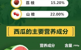 娱乐吃瓜酱省钱攻略下载,轻松解锁你的娱乐生活