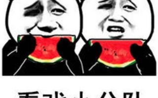 吃瓜表情包图片,吃瓜表情包背后的趣味与智慧