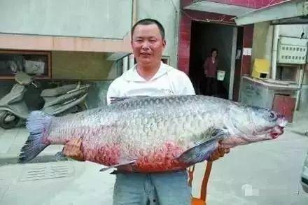 青鱼视频国产在线,国产在线影视盛宴,尽享视听盛宴-第1张图片-吃瓜群 青鱼视频国产在线,国产在线影视盛宴,尽享视听盛宴-第1张图片-吃瓜群