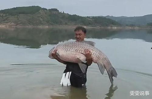 青鱼视频国产在线,国产在线影视盛宴,尽享视听盛宴-第2张图片-吃瓜群 青鱼视频国产在线,国产在线影视盛宴,尽享视听盛宴-第2张图片-吃瓜群