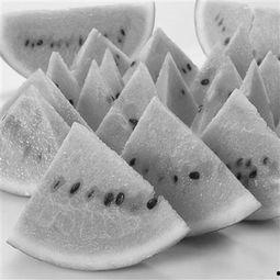 网红款夏季吃瓜神器,解锁清凉新姿势-第1张图片-吃瓜群 网红款夏季吃瓜神器,解锁清凉新姿势-第1张图片-吃瓜群