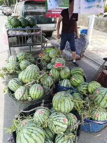 莱阳网红吃瓜事件-第1张图片-吃瓜群