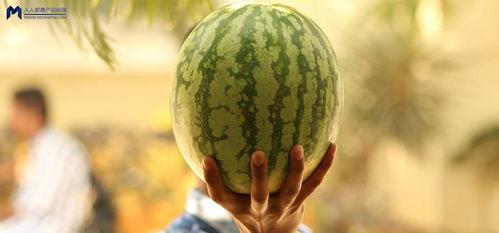 娱乐吃瓜大事件,揭秘年度最热吃瓜大事件-第3张图片-吃瓜群 娱乐吃瓜大事件,揭秘年度最热吃瓜大事件-第3张图片-吃瓜群