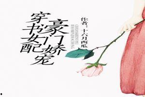 穿书娱乐圈吃瓜文小说,吃瓜文中的逆袭人生-第3张图片-吃瓜群