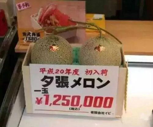 茫茫娱乐吃瓜,揭秘“茫茫娱乐吃瓜”背后的热点事件-第2张图片-吃瓜群