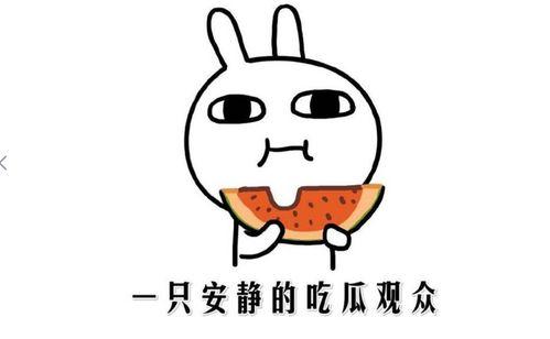 娱乐圈吃瓜的正确方式,如何正确开启你的“瓜田”之旅-第3张图片-吃瓜群