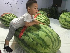 娱乐大事件吃瓜群众,吃瓜群众揭秘大事件幕后真相-第3张图片-吃瓜群 娱乐大事件吃瓜群众,吃瓜群众揭秘大事件幕后真相-第3张图片-吃瓜群