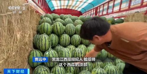 718娱乐吃瓜入口-第3张图片-吃瓜群