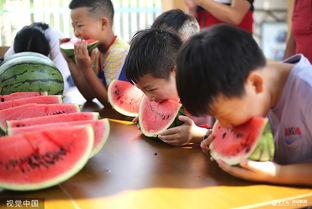 趣味吃瓜大比拼,一场舌尖上的狂欢盛宴-第1张图片-吃瓜群